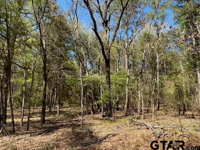 TBD Armadillo Drive, Callender Lake, TX 75778 - #3