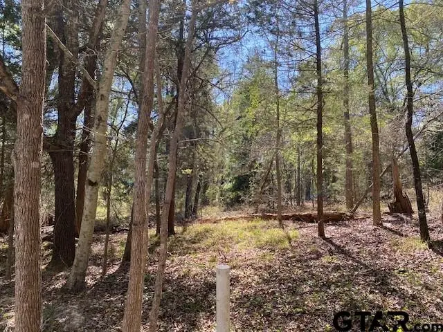 TBD Armadillo Drive, Murchison, TX 75778 - #2