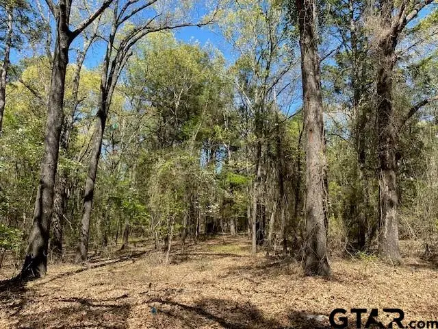 TBD Armadillo Drive, Murchison, TX 75778 - #3