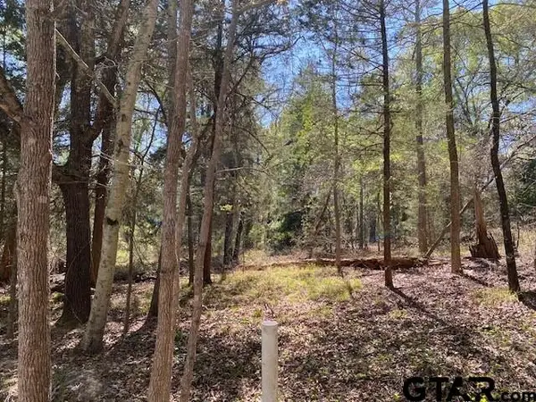 tbd Broad Meadow, Murchison, TX 75778