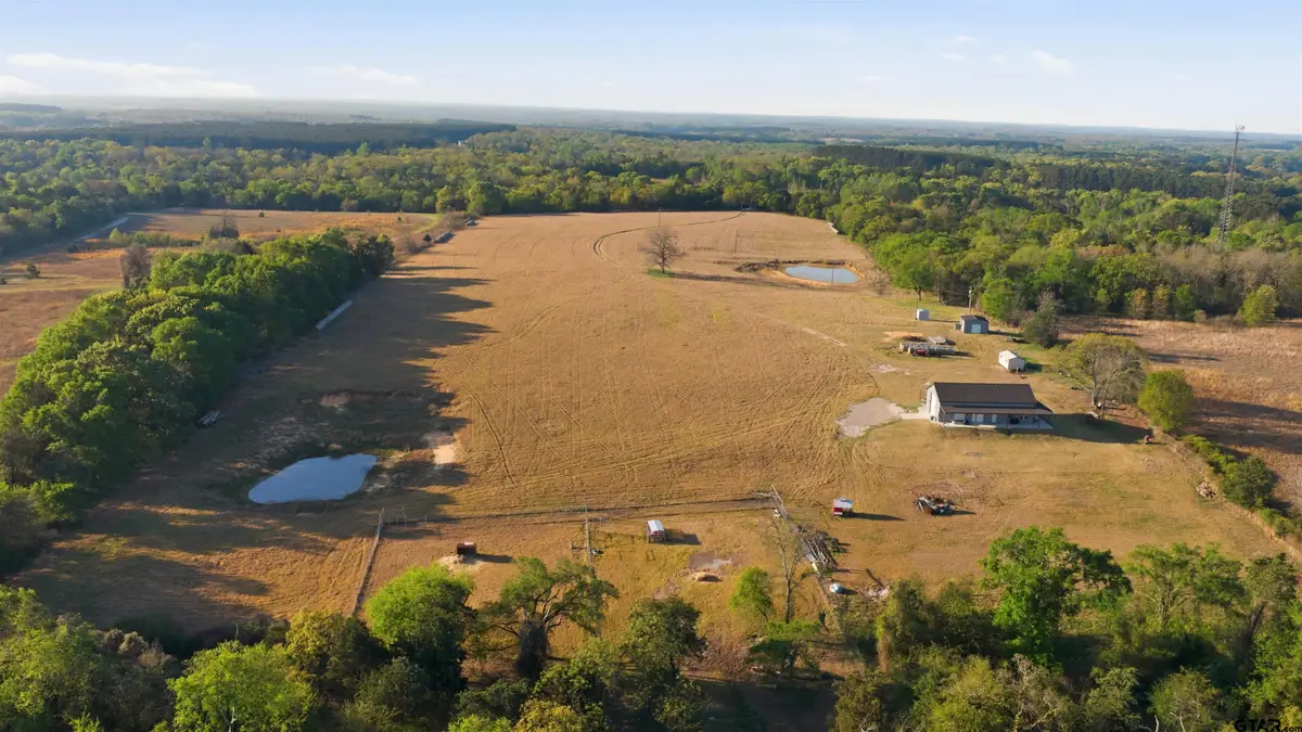 7335 Cr 4710, Larue, TX 75770 - #1
