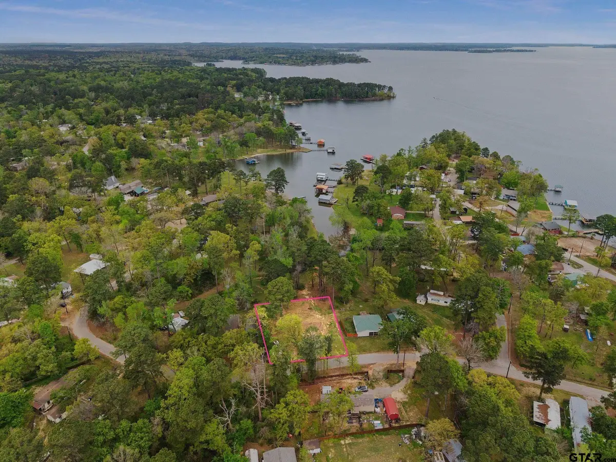 22221 Brierwood Dr, Frankston, TX 75763 - #1