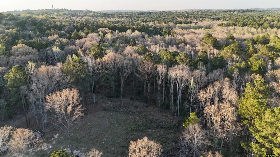 000 FM 137, Elkhart, TX 75839 - #2