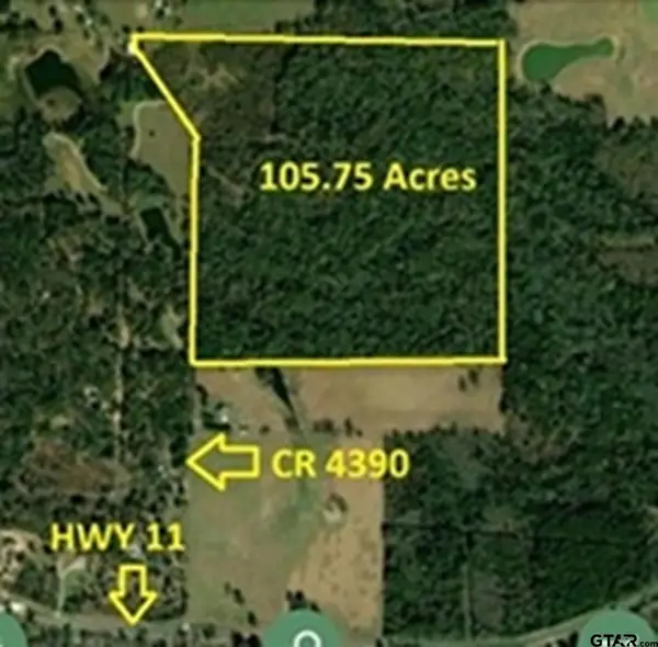 TBD CR 4390, Winnsboro, TX 75494
