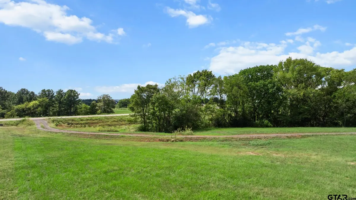 16622 Caeli Heights, Winona, TX 75792 - #1