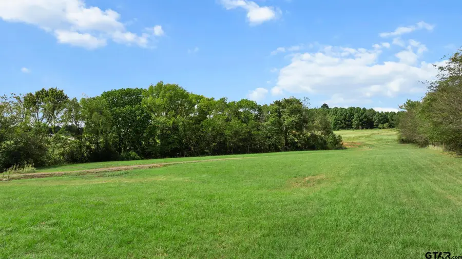 16622 Caeli Heights, Winona, TX 75792 - #3