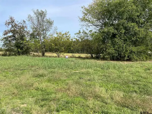 TBD S Highway 271, Pittsburg, TX 75686