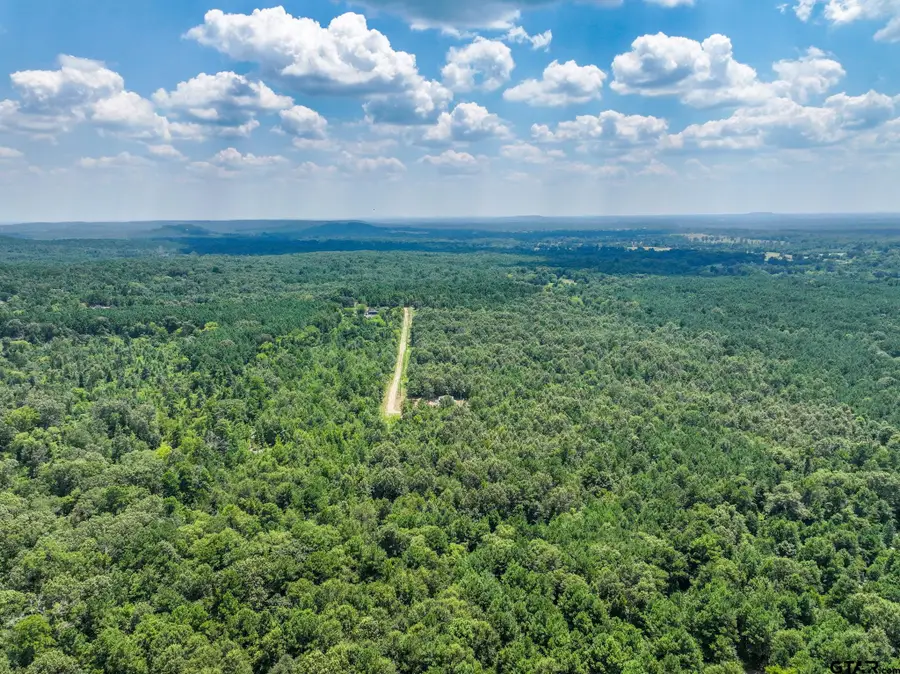 175 Private Road 3900 Rd N/Sid, Gilmer, TX 75644 - #2