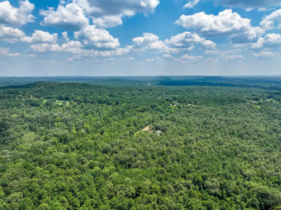 229 Pr 3900 Rd, Gilmer, TX 75644 - #2