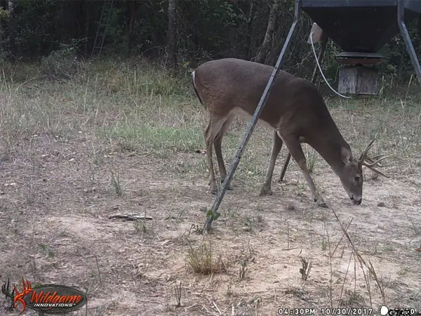 139 Cr 1061, Talco, TX 75487