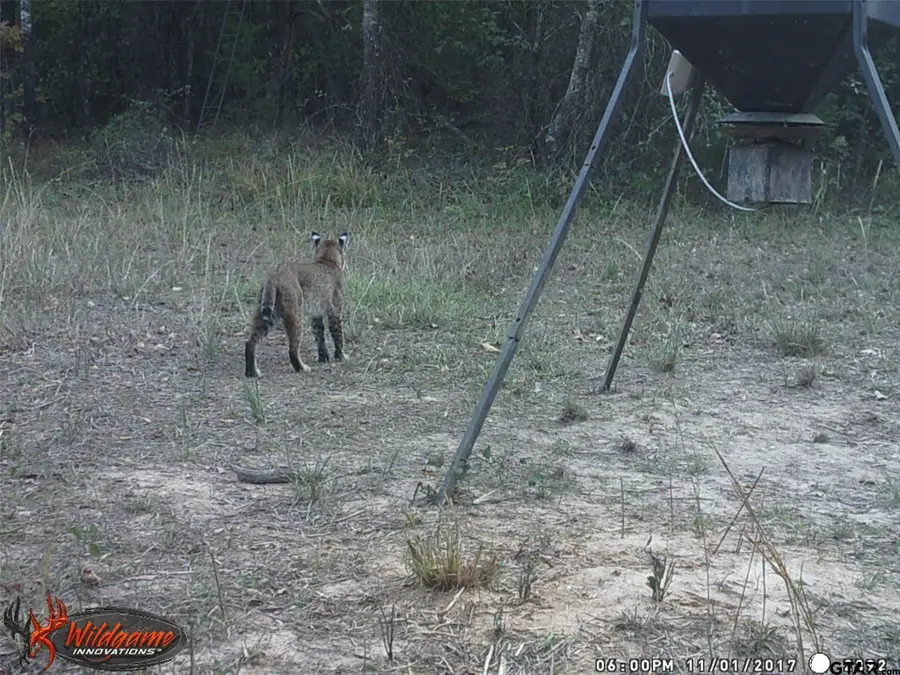 139 Cr 1061, Talco, TX 75487 - #2