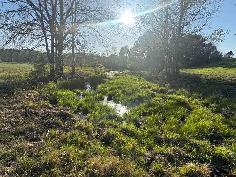 TBD N CR 143, San Augustine, TX 75972 - #2