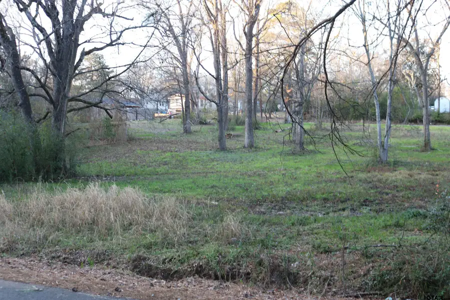 TBD Morton & Pemberton, Marshall, TX 75670 - #2