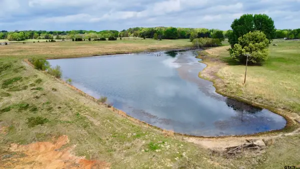 TBD FM 1001, Cookville, TX 75558