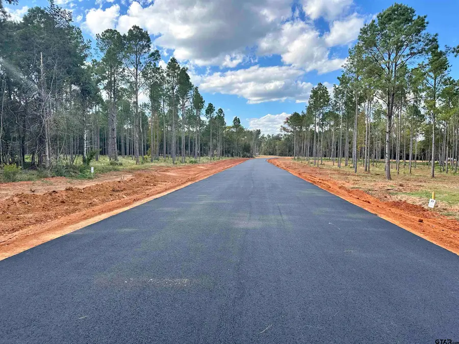 Lot 23 Oak River, Frankston, TX 75763 - #2