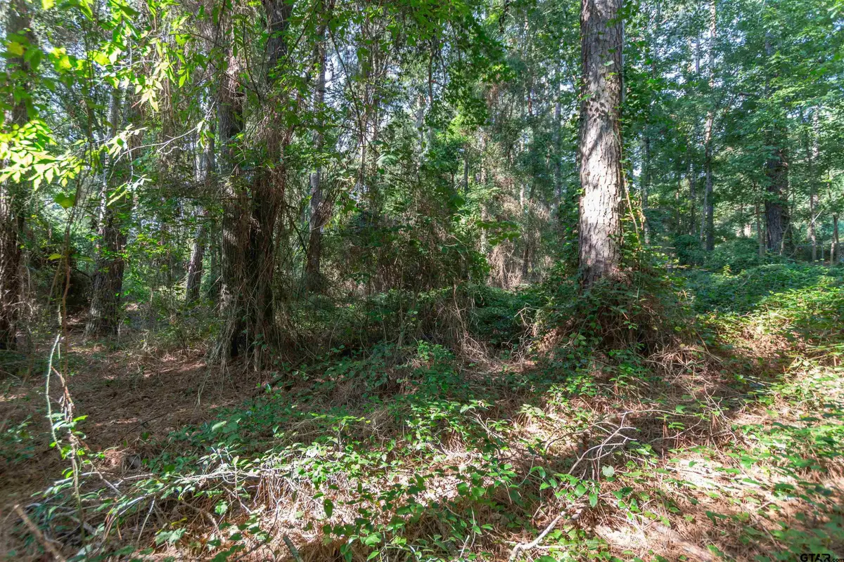 TBD CR 1237, Tyler, TX 75703 - #1