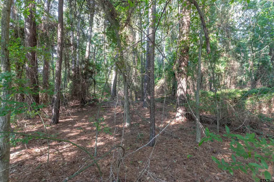 TBD CR 1237, Tyler, TX 75703 - #3