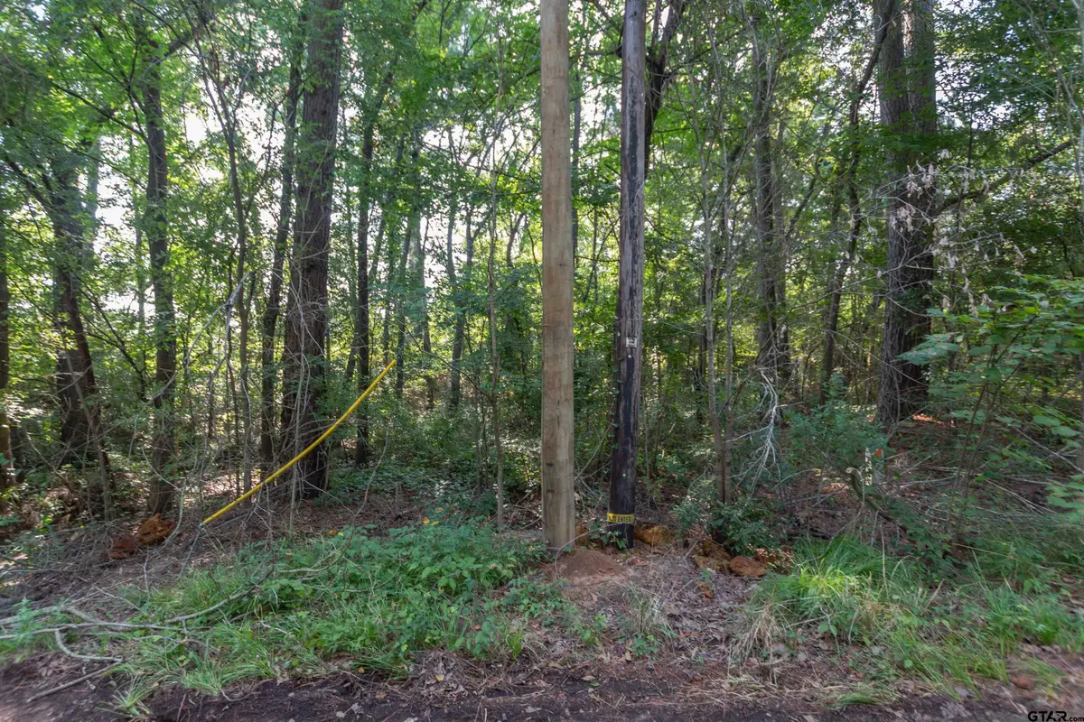 TBD CR 1237, Tyler, TX 75703 - #1