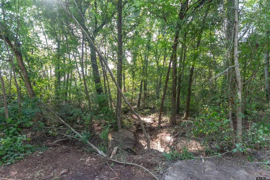 TBD CR 1237, Tyler, TX 75703 - #2
