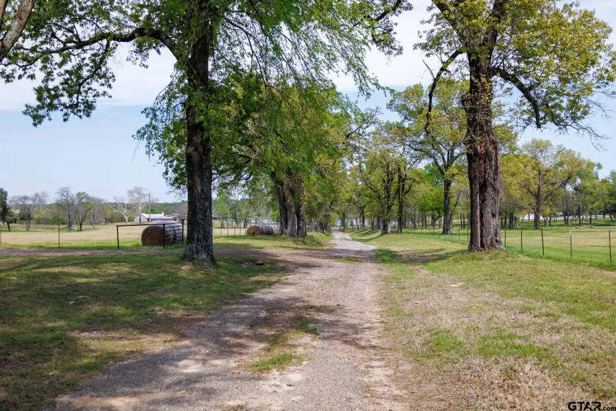 411 VZ County Road 4313, Ben Wheeler, TX 75754 - #2