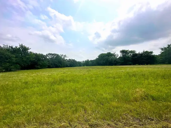 TBD CR 1405 Lot 13, Athens, TX 75751
