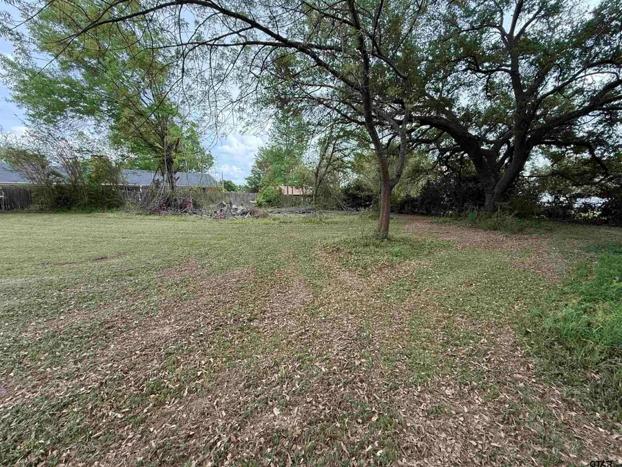 000 Beth Ln, Winona, TX 75792 - #2