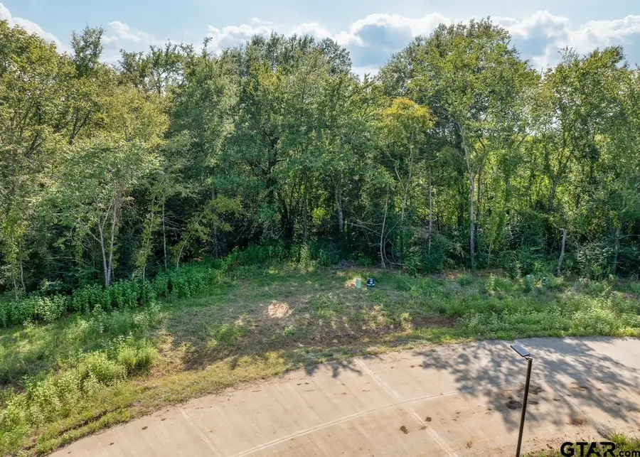 12372 Madison Crossing, Bullard, TX 75757 - #3