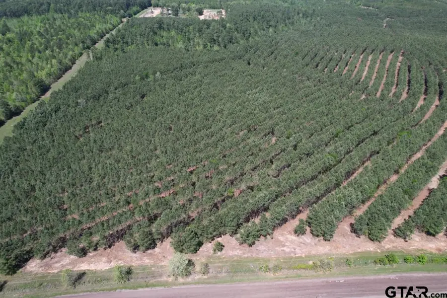 TBD Lincoln Springs Rd, Gladewater, TX 75647 - #2