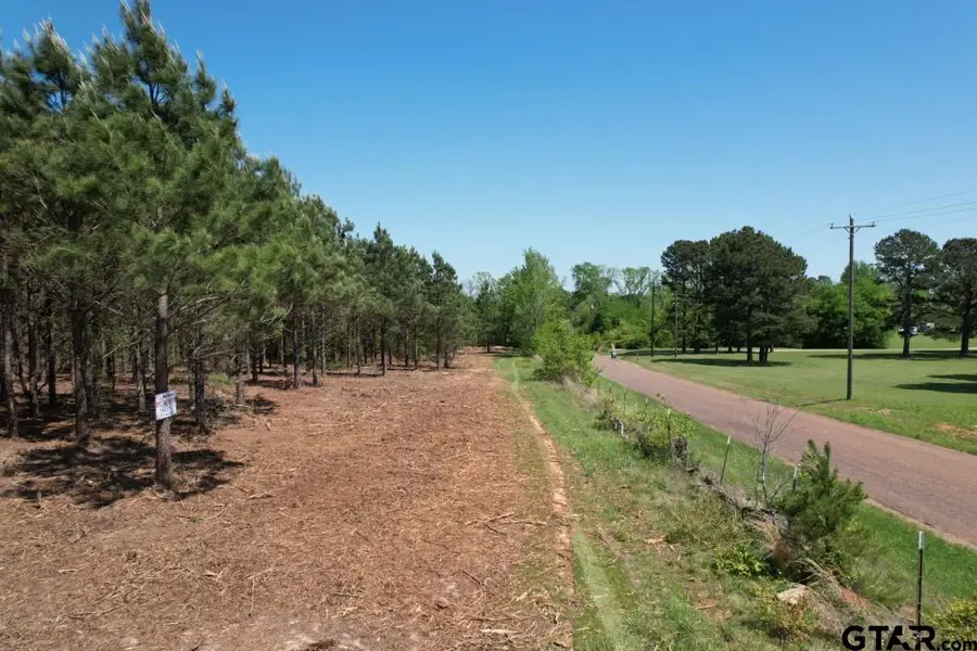 TBD Lincoln Springs Rd, Gladewater, TX 75647 - #3