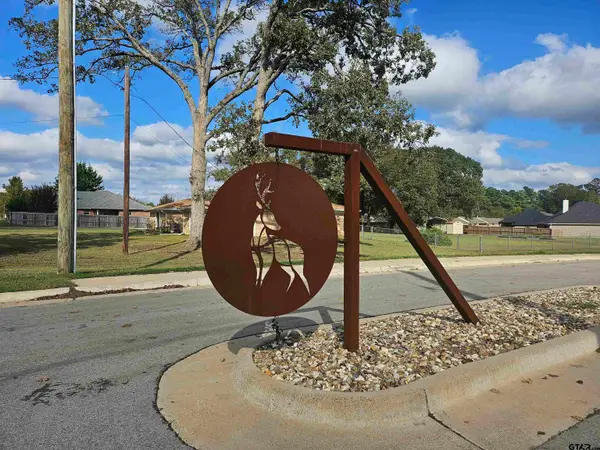 428 Deer Point Cove, Chandler, TX 75758