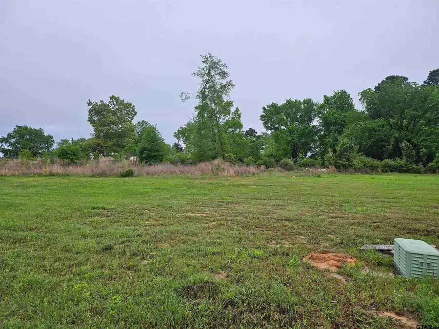 428 Deer Point Cove, Chandler, TX 75758 - #3