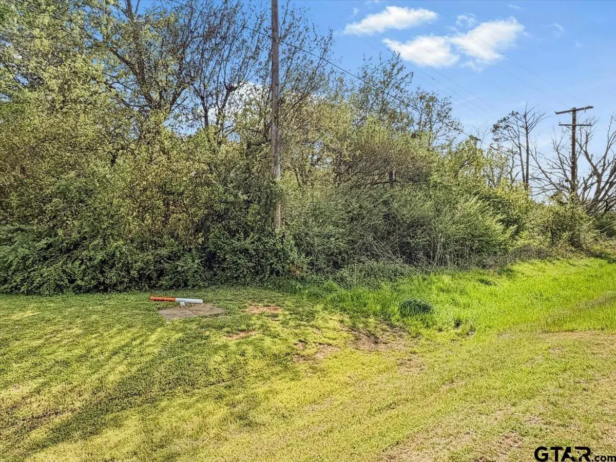 TBD HWY 64 W, Tyler, TX 75704 - #1