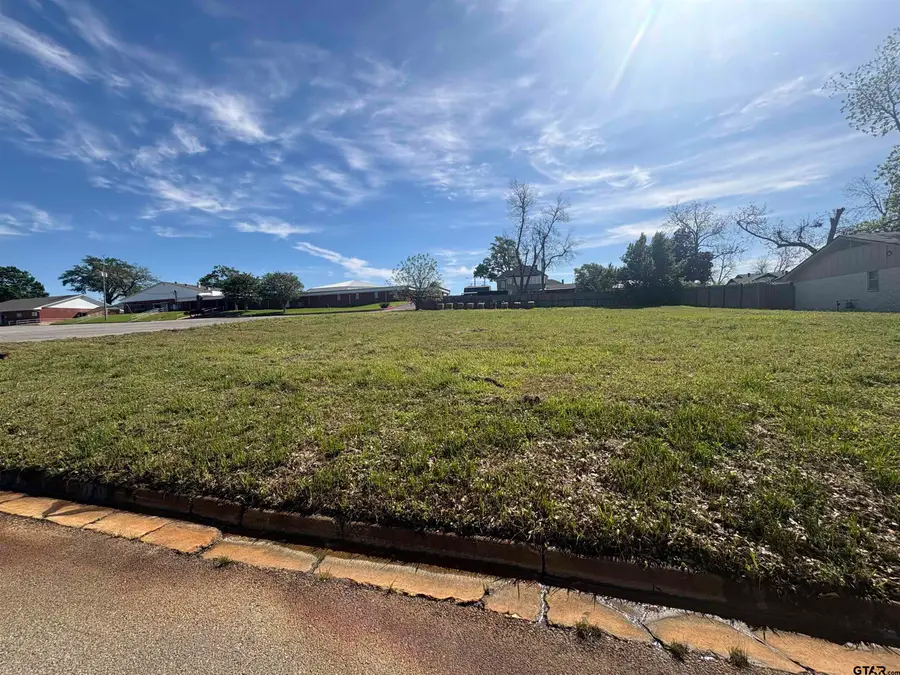 501 S Van Buren, Henderson, TX 75654 - #3