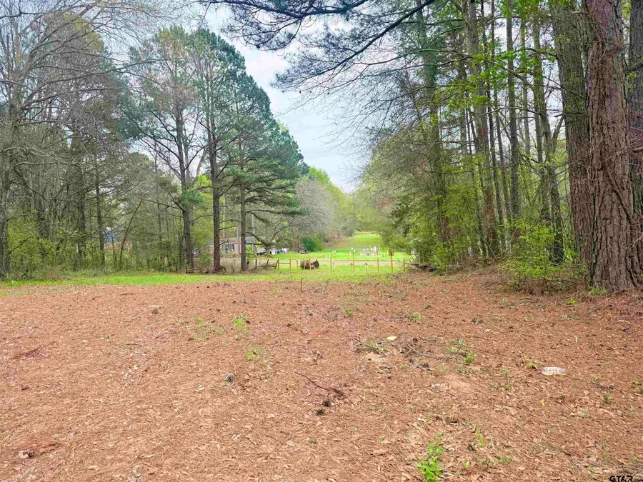 10933 County Road 384, Tyler, TX 75708 - #2