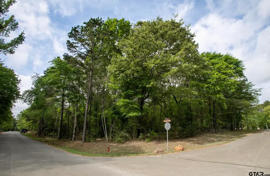 14856 Gold Leaf Ct, Tyler, TX 75707 - #2