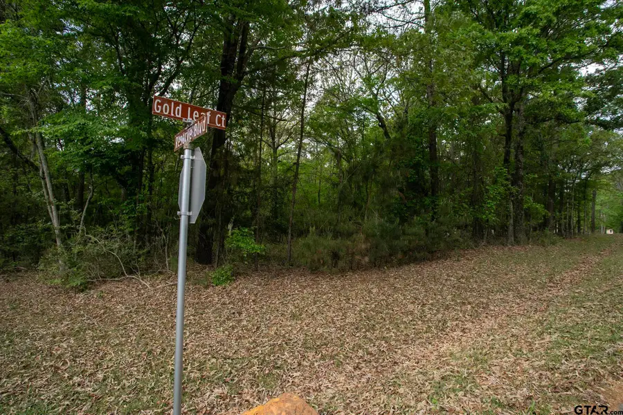 14856 Gold Leaf Ct, Tyler, TX 75707 - #3