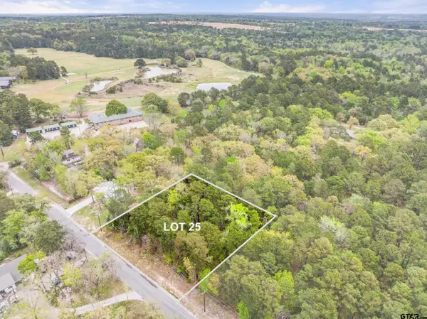 lot 25 ACR 319, Frankston, TX 75763