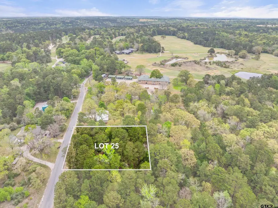 lot 25 ACR 319, Frankston, TX 75763 - #3