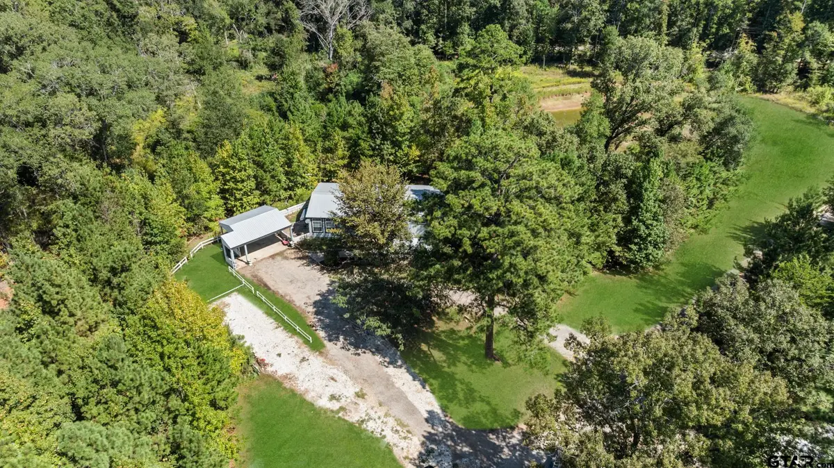 905 CR 4914, Ben Wheeler, TX 75754 - #1