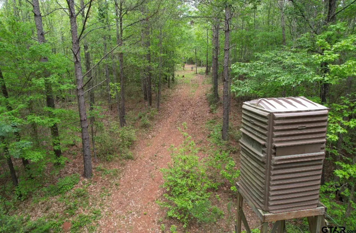 TBD Cr 120c, San Augustine, TX 75972 - #1