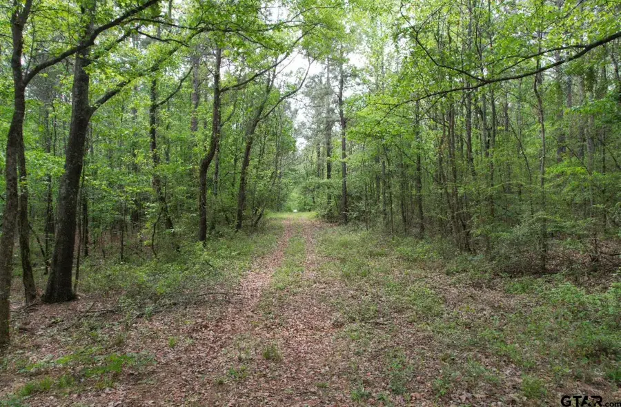 TBD Cr 120c, San Augustine, TX 75972 - #2