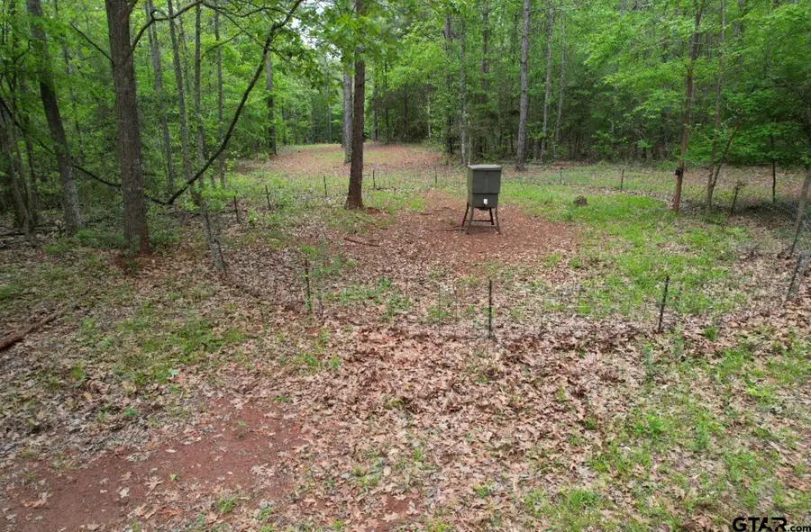 TBD Cr 120c, San Augustine, TX 75972 - #3
