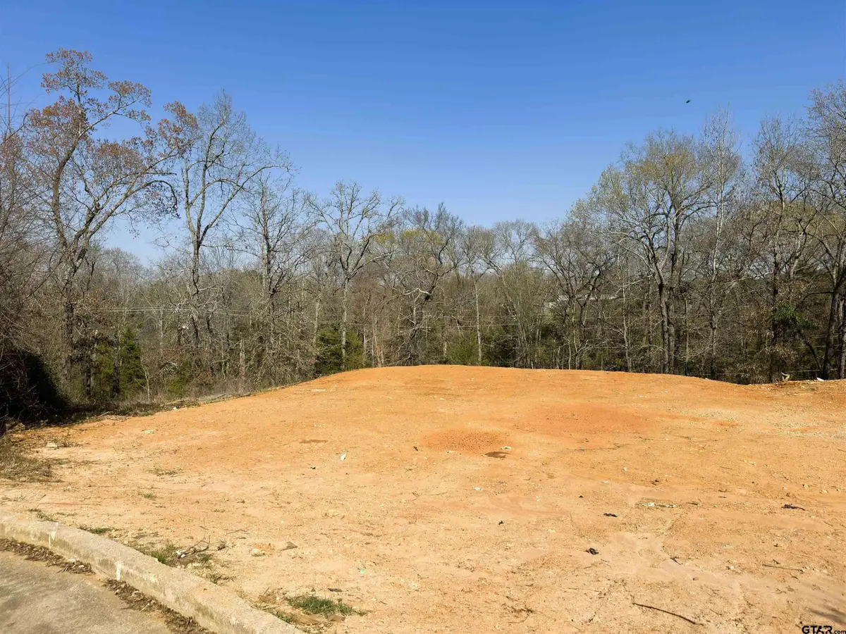 110 Elmwood Court, Palestine, TX 75801 - #1