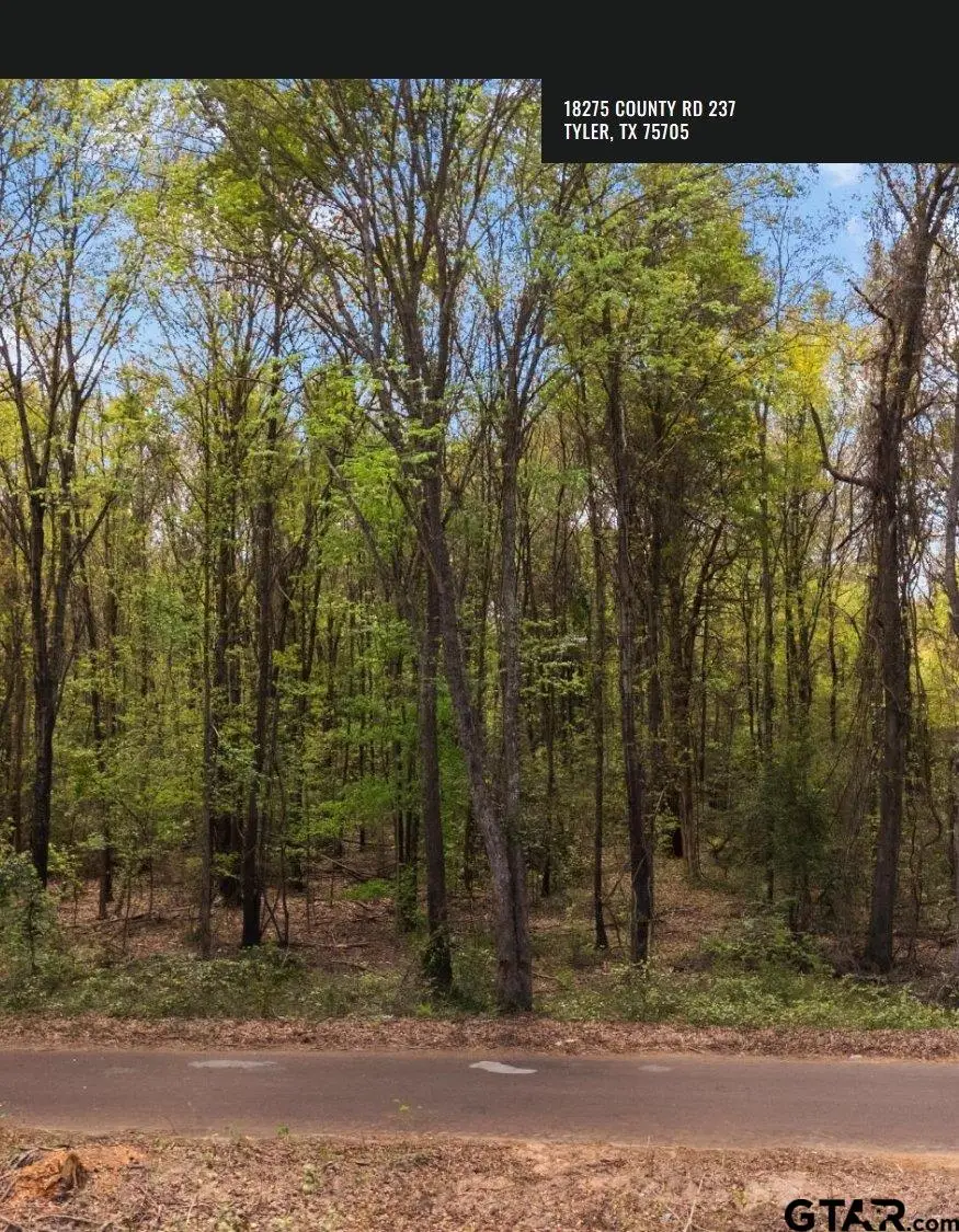 18275 CR 237, Tyler, TX 75705 - #2
