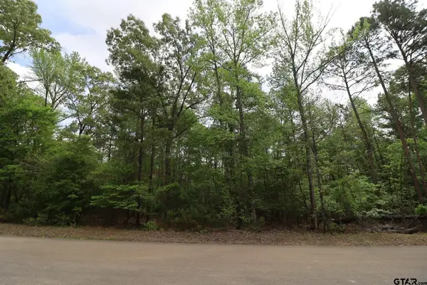 14624 Reserve Ct, Tyler, TX 75707