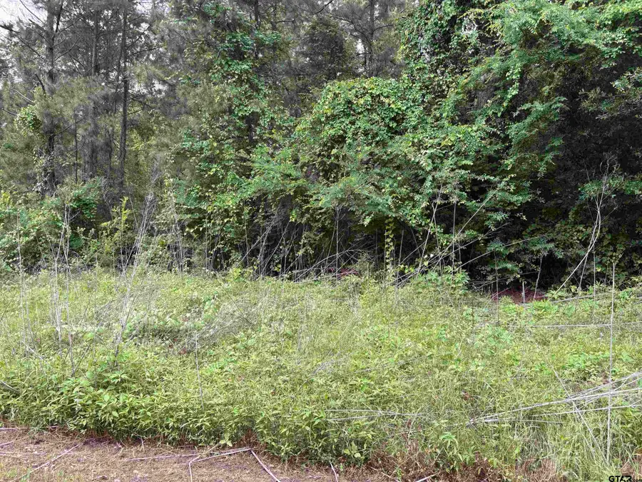 404 Post Oak, Bullard, TX 75757 - #2