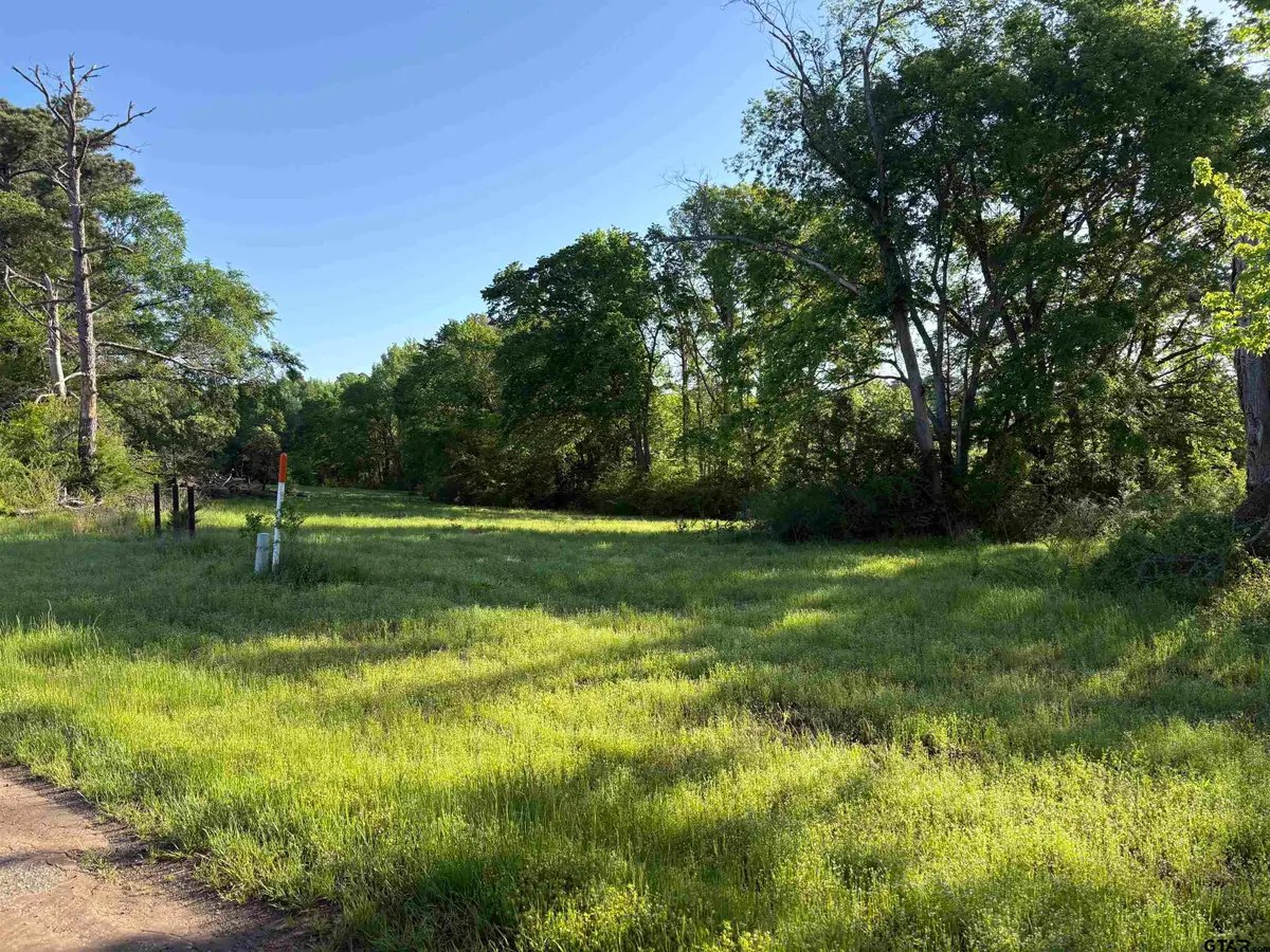 LOT 8 5.5ACRES COUNTY ROAD 2166, Troup, TX 75789 - #1