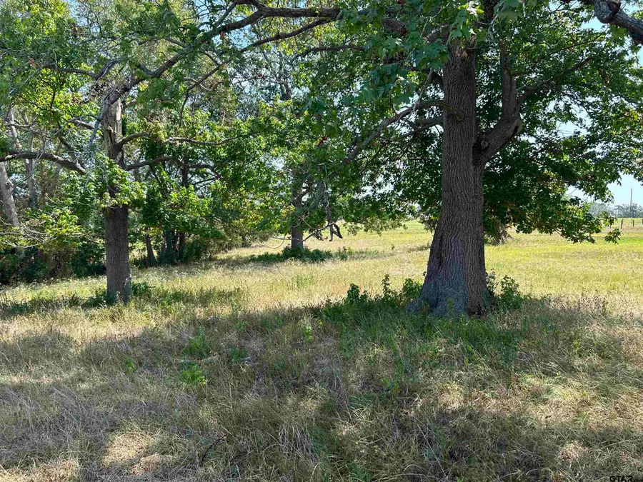 LOT 8 5.5ACRES COUNTY ROAD 2166, Troup, TX 75789 - #3