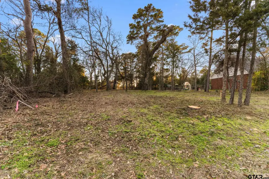 16029 Cumberland Way, Bullard, TX 75757 - #3