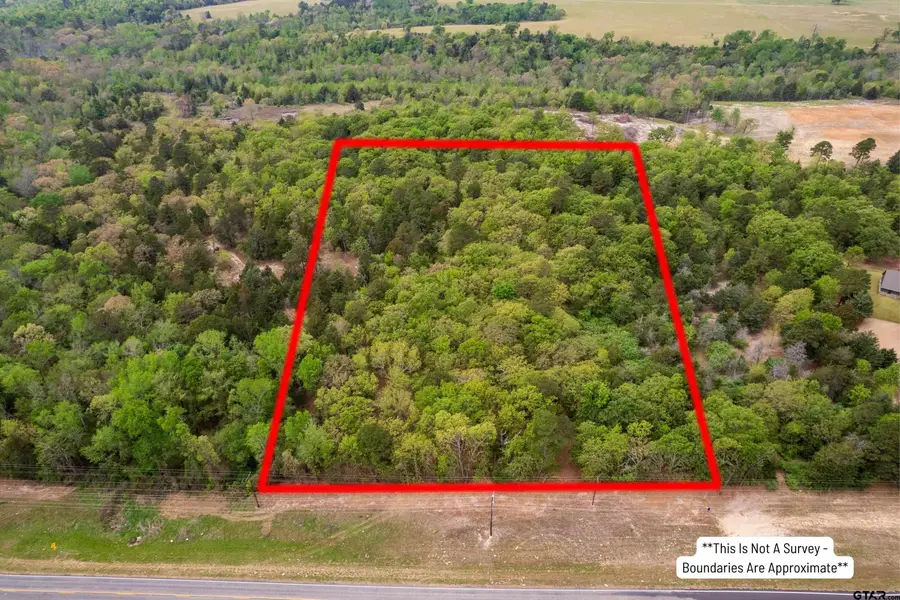TBD 6.16 ac Fm 115, Scroggins, TX 75480 - #2